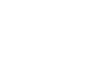 MENTORA